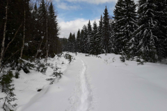 3-4-km-gennem-60-cm-sne-Norge fra bæverjagt, 07.05.19