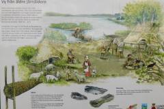 1_Jernalderen-ved-Sandbu-Mose