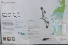 1_Stroedam-Engsoe