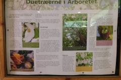 Aboretet-5