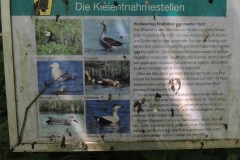 Fugleplanche-Tyskland-2