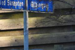 Fuglespot-Gilbjerghoved