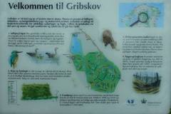 Grib-Skov-3