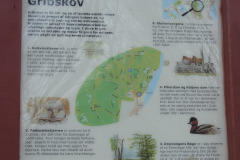 Gribskov-3