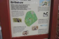 Gribskov-5
