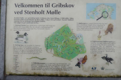 Gribskov-ved-Stenholt-Moelle