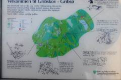 Gribsoe-Gribskov
