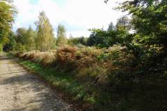 Groenholt-Hegn