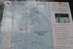 Hammer-Moelle-Skov-og-Teglstrup-Hegn
