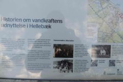 Hammer-Moelle