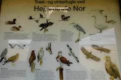 Hejlsminde-Nor