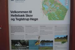 Hellebaek-Skov-og-Teglstrup-Hegn