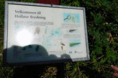 Holloese-Bredning-2