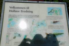 Holloese-Bredning