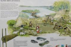 Jernalderen-ved-Sandbu-Mose