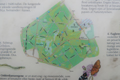 Moelleengen
