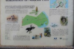 Noedebo-Holt