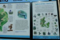 Rusland-Tegners-Museum