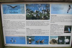 Silvaakra