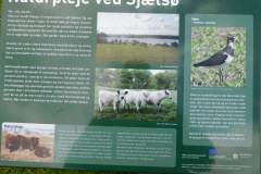 Sjaelsoe-2