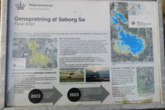 Soeborg-Soe