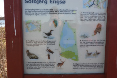 Solbjerg-Engsoe