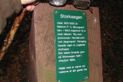 Storkeegen-1
